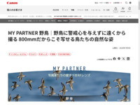 MY PARTNER �ʐ^�Ƃ����̈����ׂ�RF�����Y �쒹�b�˒� �w�b�l�b�L���m��